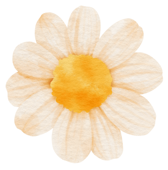 White flower watercolor painted for Decorative Element png