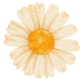 White flower watercolor painted for Decorative Element png
