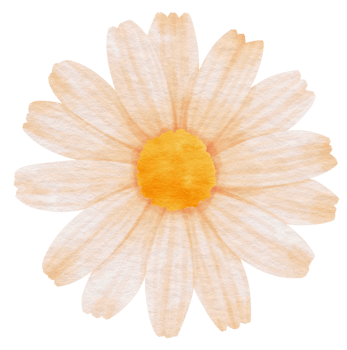 White flower watercolor painted for Decorative Element png