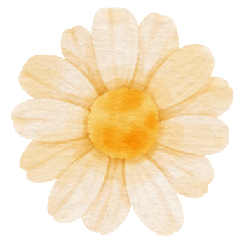 White flower watercolor painted for Decorative Element png
