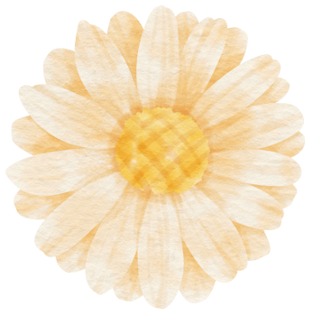 White flower watercolor painted for Decorative Element png