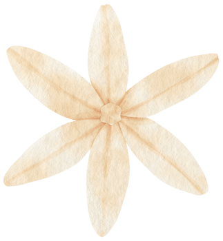 White flower watercolor painted for Decorative Element png