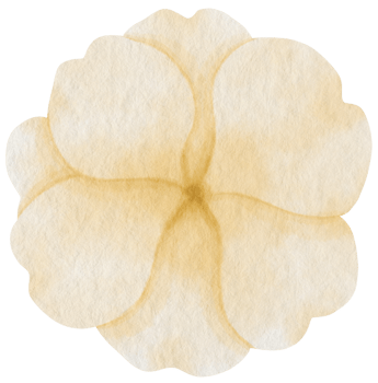 White flower watercolor painted for Decorative Element png