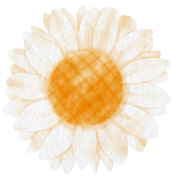 White flower watercolor painted for Decorative Element png
