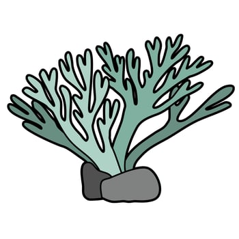 Under Sea Plants vector