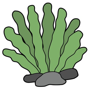 Under Sea Plants vector