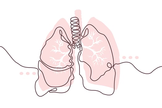 Lungs Hand drawn icon continuous line drawing. Human organs Creative abstract art background Trendy concept One single line design. Outline simple image black and white color Vector