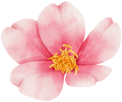 Pink flowers watercolor illustration png