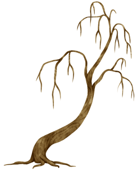 Leafless dead tree dry tree watercolor illustration for Decorative Element png