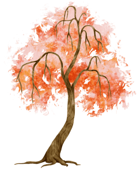 Autumn Tree watercolor illustration for Decorative Element png
