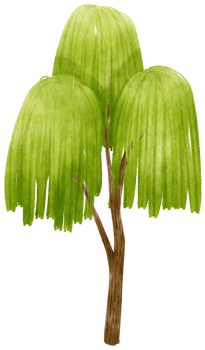 Tree watercolor illustration for Decorative Element png