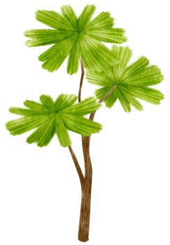 Tree watercolor illustration for Decorative Element png