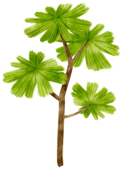 Tree watercolor illustration for Decorative Element png
