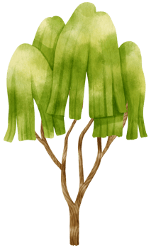 Tree watercolor illustration for Decorative Element png