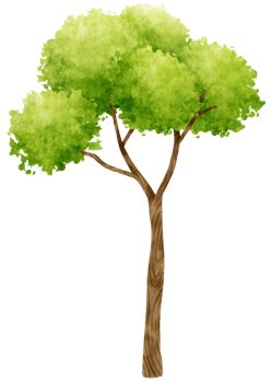 Tree watercolor illustration for Decorative Element png
