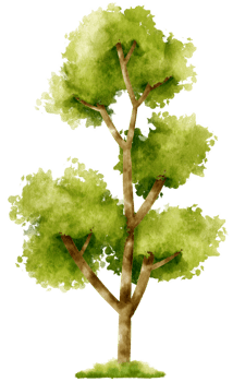 Tree watercolor illustration for Decorative Element png