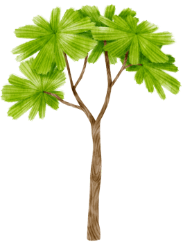 Tree watercolor illustration for Decorative Element png