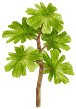 Tree watercolor illustration for Decorative Element png