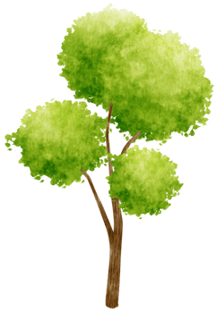 Tree watercolor illustration for Decorative Element png