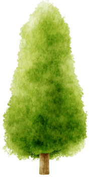 Tree watercolor illustration for Decorative Element png