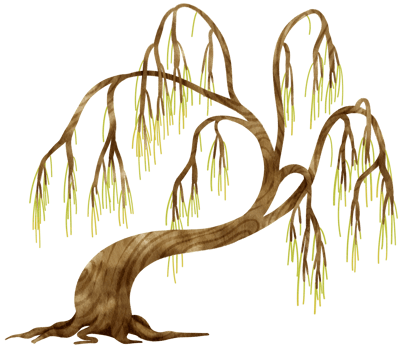 Tree watercolor illustration for Decorative Element png