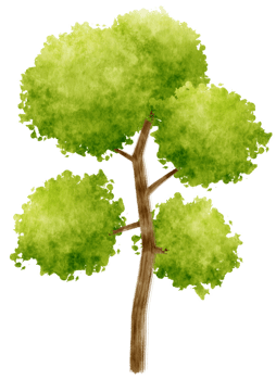 Tree watercolor illustration for Decorative Element png