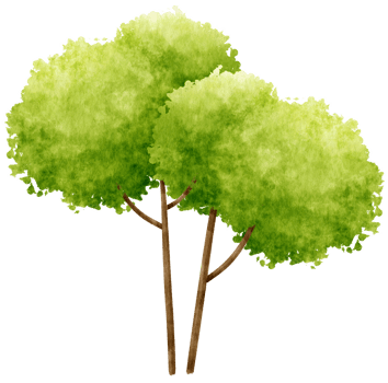Tree watercolor illustration for Decorative Element png