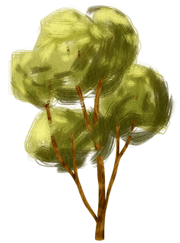 Tree watercolor illustration for Decorative Element png