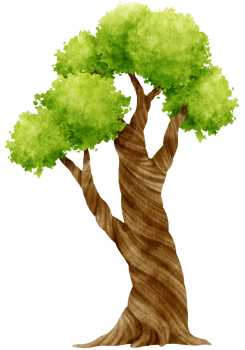 Tree watercolor illustration for Decorative Element png