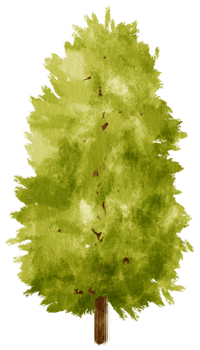 Tree watercolor illustration for Decorative Element png