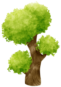 Tree watercolor illustration for Decorative Element png