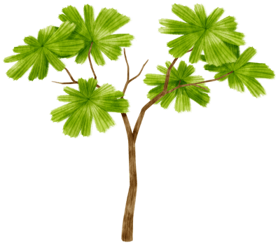 Tree watercolor illustration for Decorative Element png
