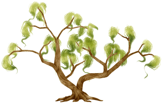 Tree watercolor illustration for Decorative Element png
