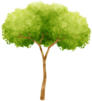 Tree watercolor illustration for Decorative Element png