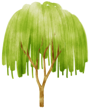 Tree watercolor illustration for Decorative Element png
