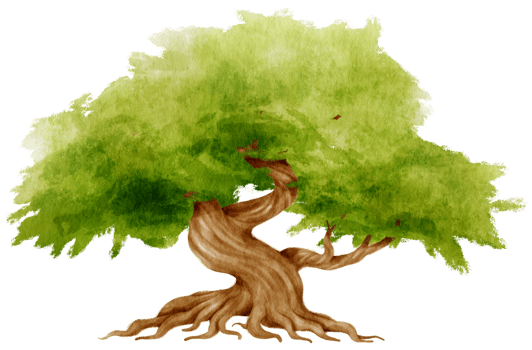 Tree watercolor illustration for Decorative Element png