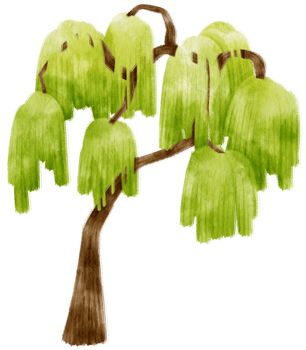 Tree watercolor illustration for Decorative Element png