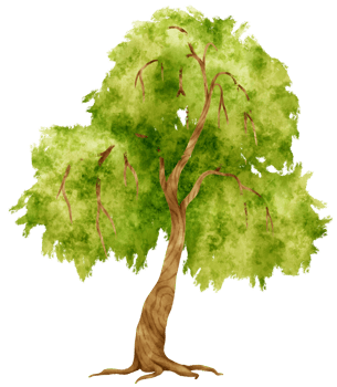 Tree watercolor illustration for Decorative Element png