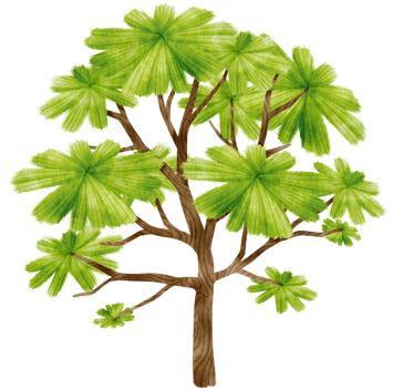 Tree watercolor illustration for Decorative Element png