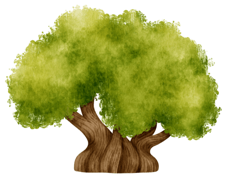 Tree watercolor illustration for Decorative Element png