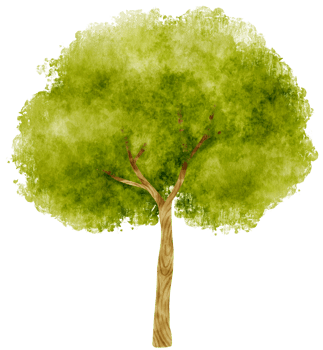 Tree watercolor illustration for Decorative Element png