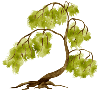 Tree watercolor illustration for Decorative Element png