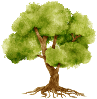 Tree watercolor illustration for Decorative Element png
