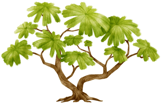 Tree watercolor illustration for Decorative Element png