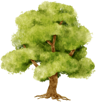 Tree watercolor illustration for Decorative Element png