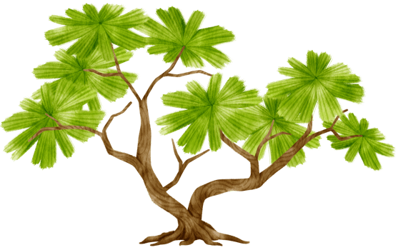 Tree watercolor illustration for Decorative Element png