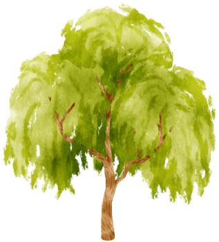 Tree watercolor illustration for Decorative Element png