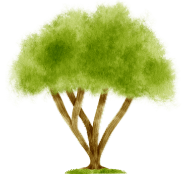 Tree watercolor illustration for Decorative Element png
