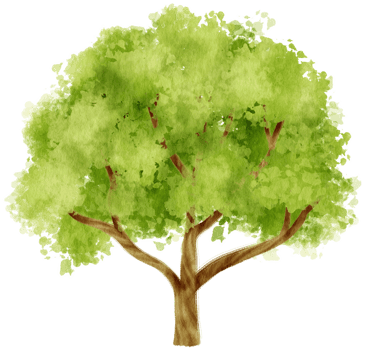 Tree watercolor illustration for Decorative Element png