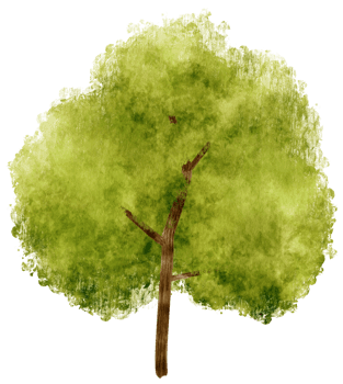 Tree watercolor illustration for Decorative Element png